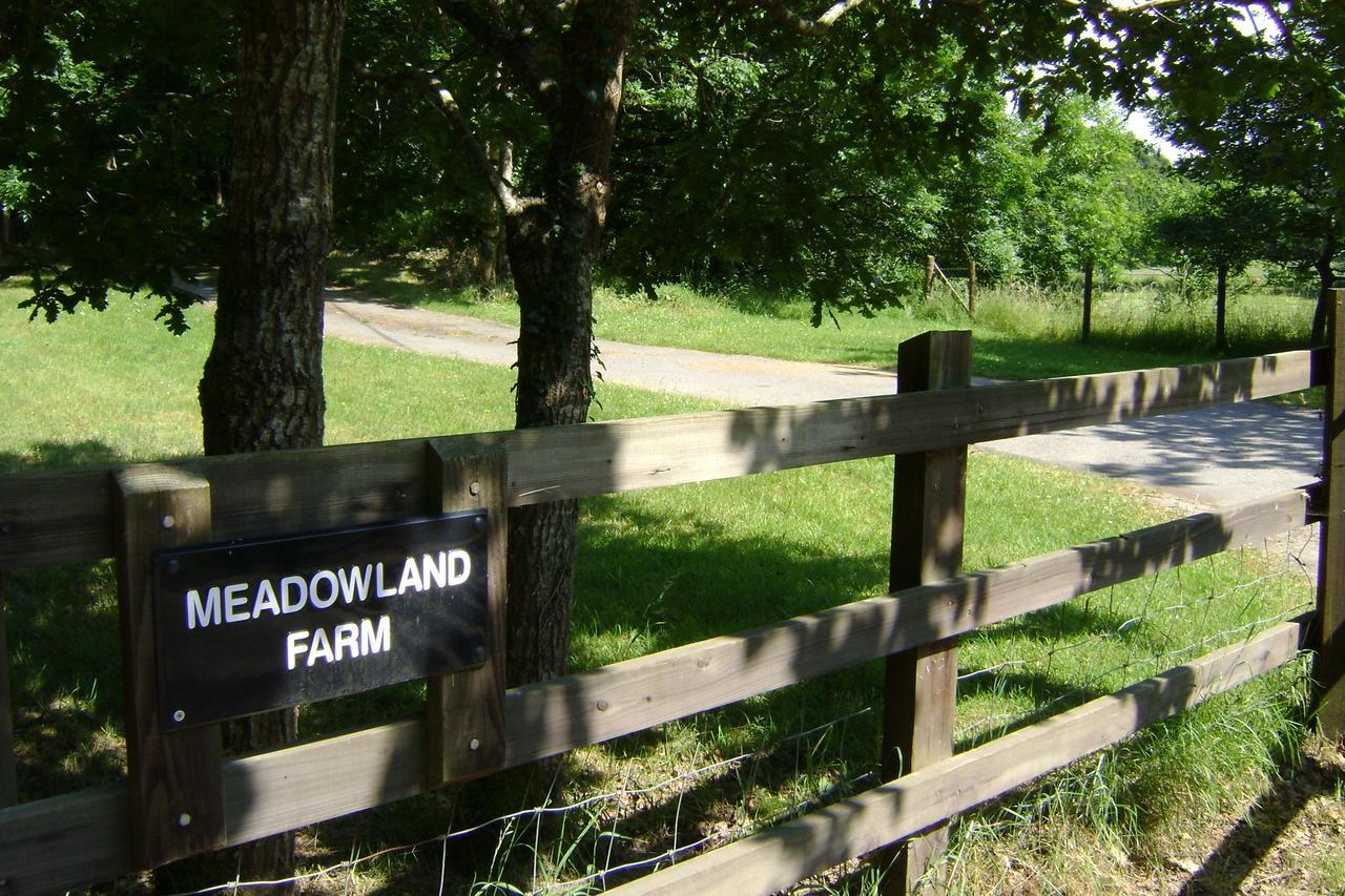 Meadowland Farm Bed & Breakfast Dolton Bagian luar foto