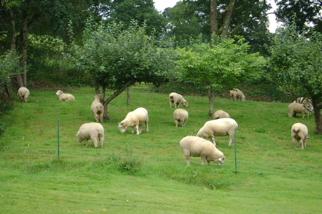Meadowland Farm Bed & Breakfast Dolton Bagian luar foto